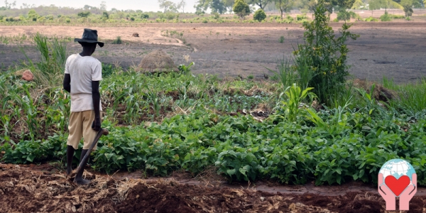 Agricoltore in campo