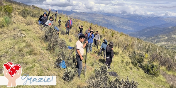Riforestazione sulle Ande