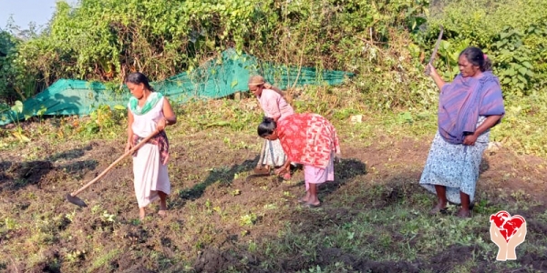 Donne nel campo agricolo