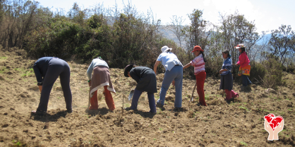 giovani agricoltori Perù