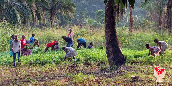 ragazzi nel campo agricolo